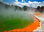 Rotorua Geysers, mud pools, spas & Maori culture Read More