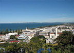 Napier Art deco, wineries, vineyards, architecture, wine Read More