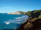 Hawke's Bay Wineries, art deco, fishing, cycling, vineyards Read More